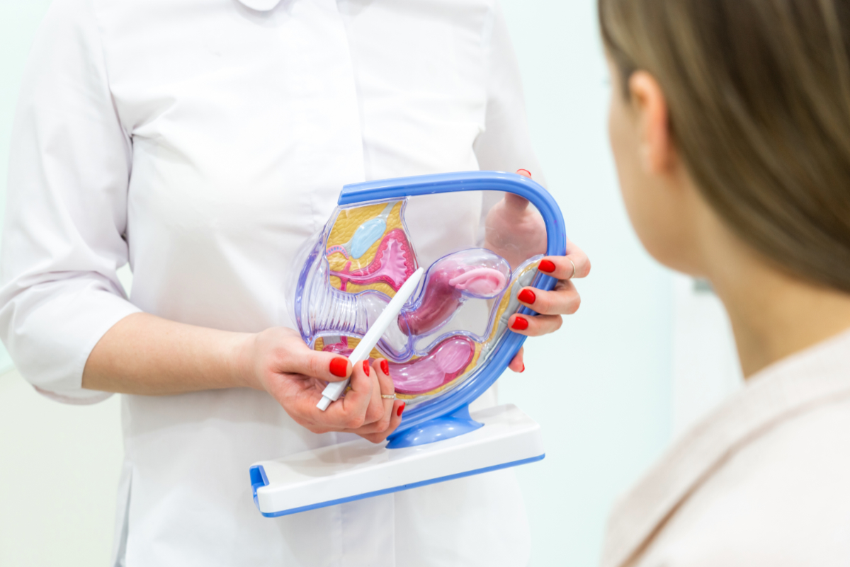 Lekarz ginekolog konsultuje pacjentkę z pomocą modelu anatomii macicy. Pierwsza wizyta u ginekologa