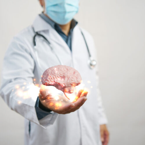 Wizualizacja mózgu nad dłonią neurologa. Stwardnienie rozsiane — kto na nie choruje