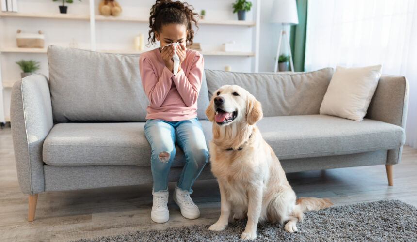 Zakatarzona dziewczyna i pies. Alergia na zwierzęta domowe — zrób test zanim kupisz zwierzaka